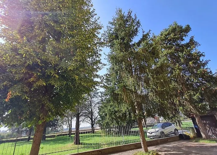 Verdi Valli Comfort Mirandola